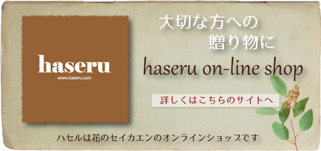 ハセル・花のセイカエンオンラインショップへ